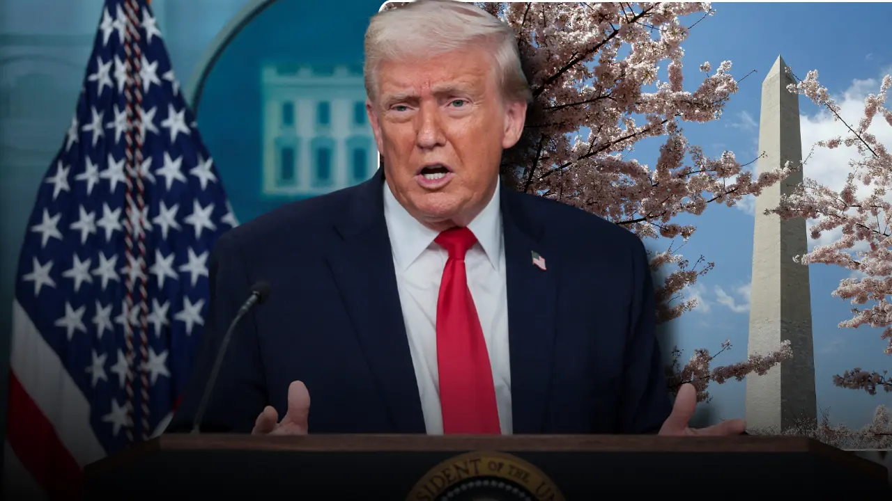 flippin-tings-for-newsletter-2026-03-19t193805-981