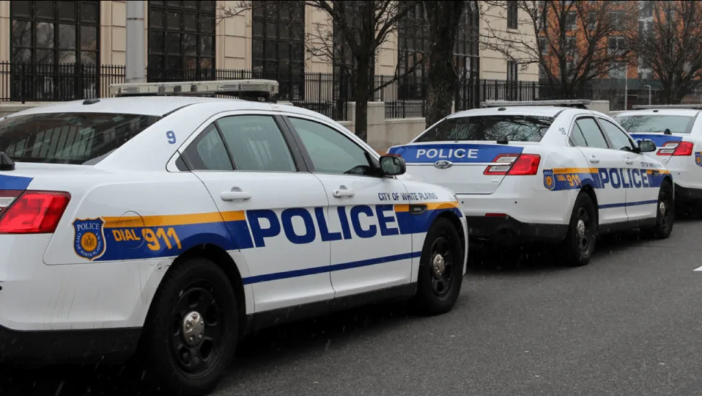 news-team-canva-15-2