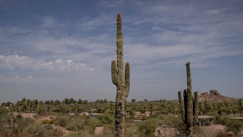 the-wider-image-heat-camera-captures-scorching-nature-of-record-phoenix-heat-wave