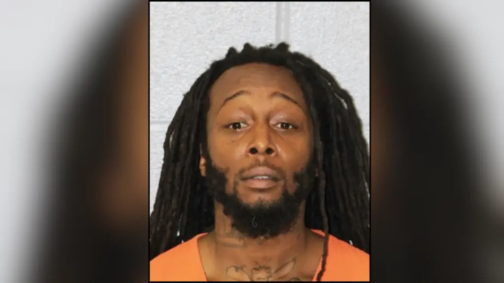 flippin-tings-for-newsletter-2026-04-09t144058-857