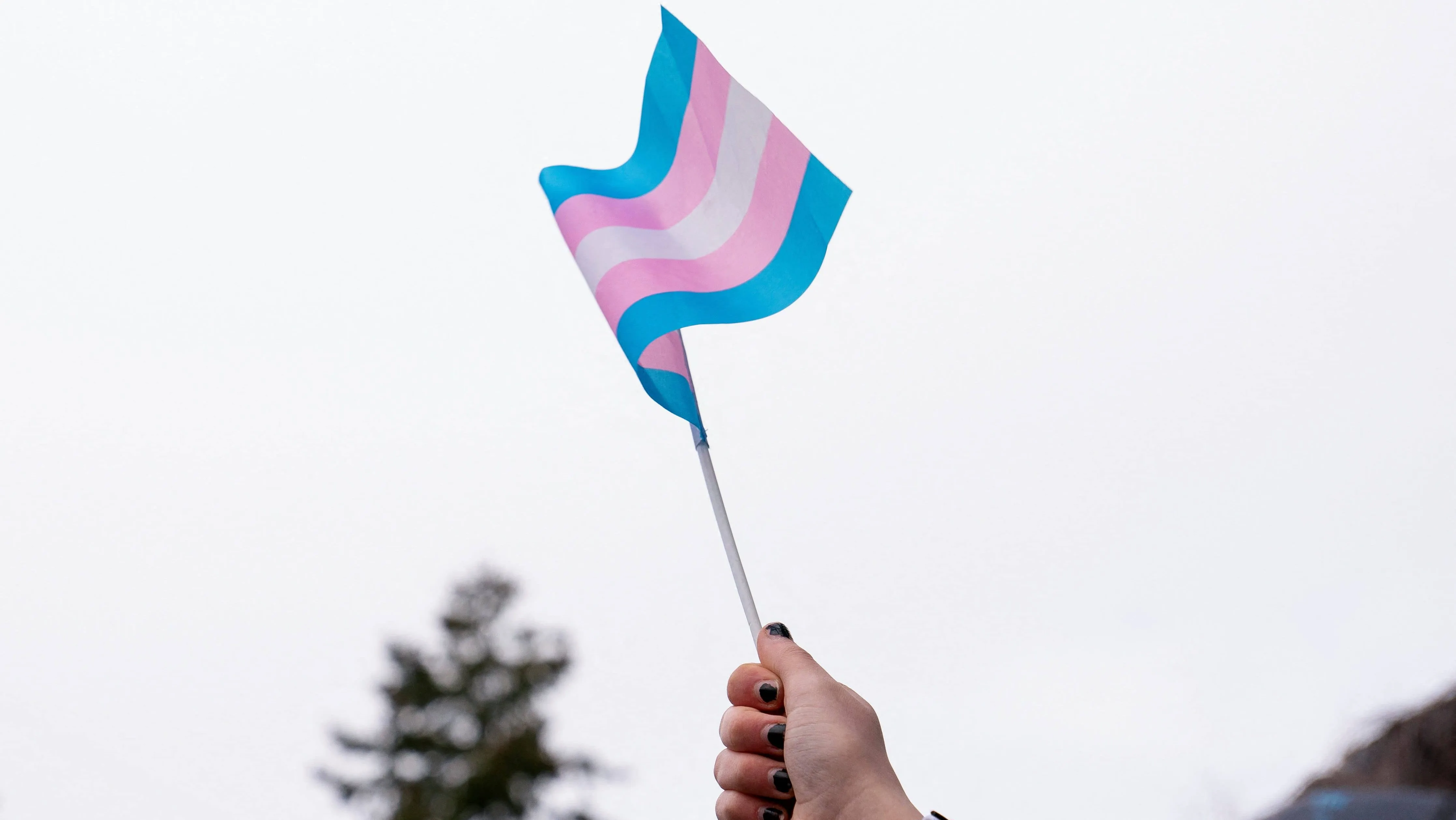 demonstrators-rally-in-support-of-trans-youth-at-seattle-childrens-hospital