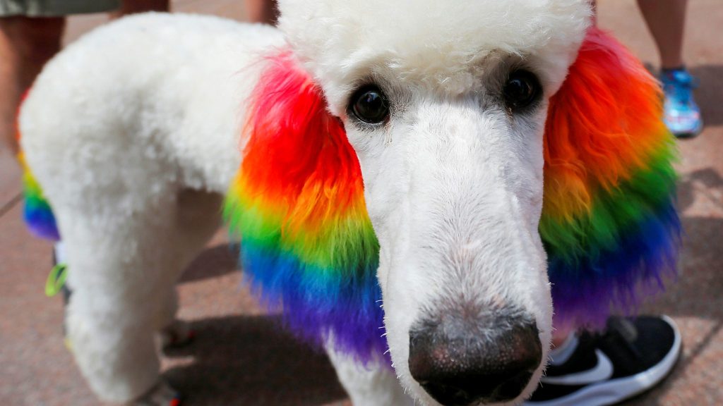 Boston Mayor’s Office Backs “Trans Period Pride” Event