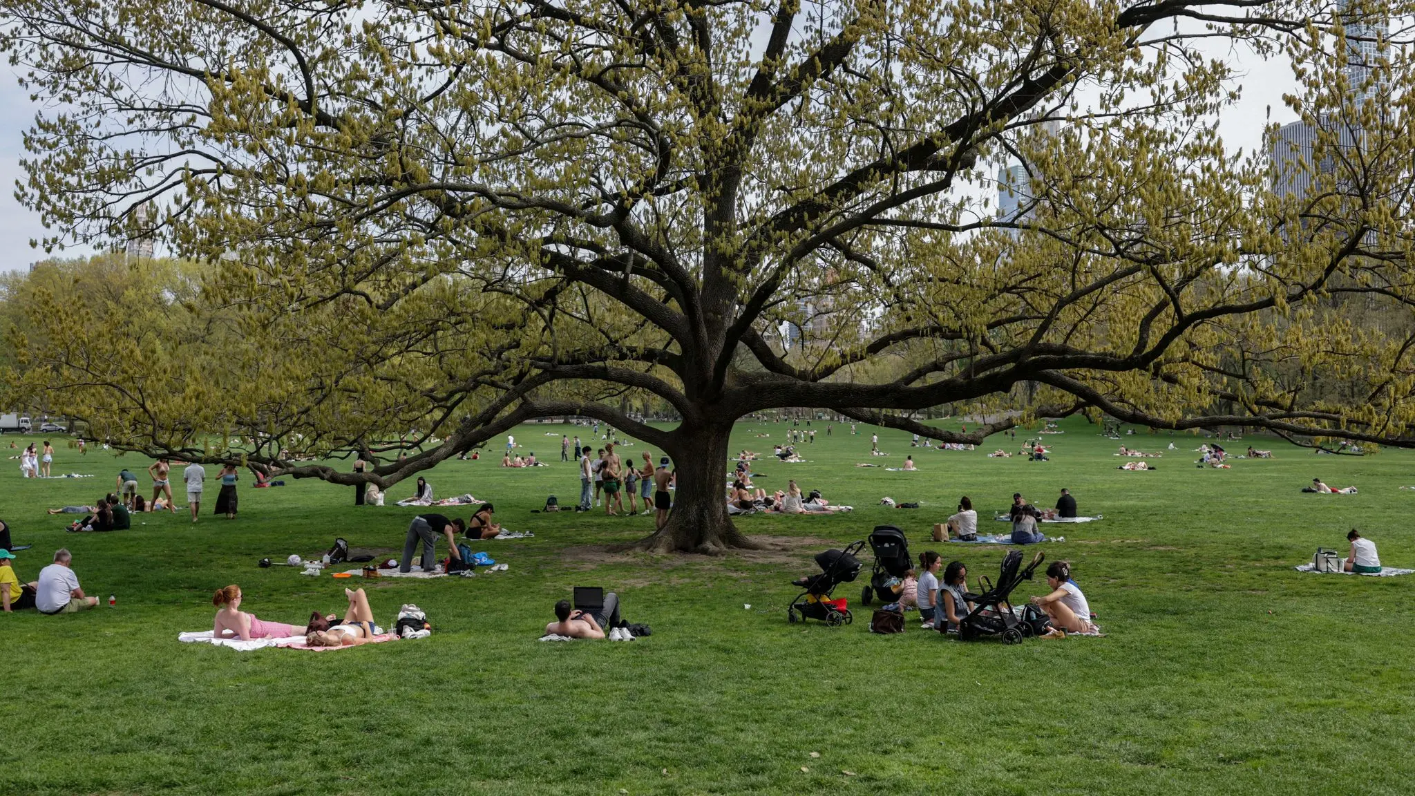 people-enjoy-the-warm-weather-in-central-park-in-new-york-city