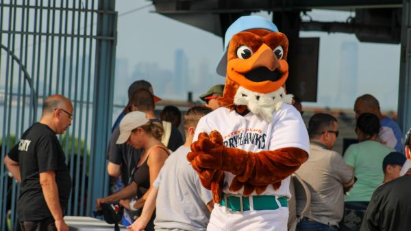 FerryHawks Visit York As First-Half Stretch Winds Down