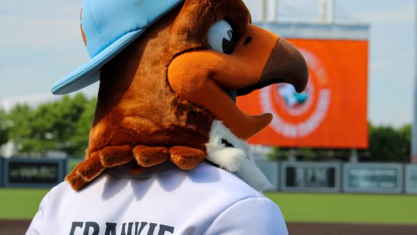 FerryHawks Host Ducks In Staten Island Weekend Series