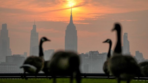 Tri-State Stays Windy And Cool As Weekend Rain Moves In