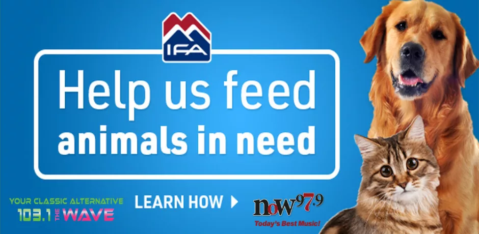 ifa_feedingfurriends24_banner_650x300