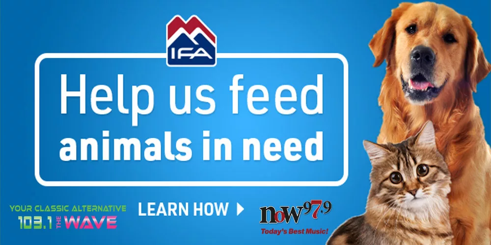 ifa_feedingfurriends24_banner_650x300