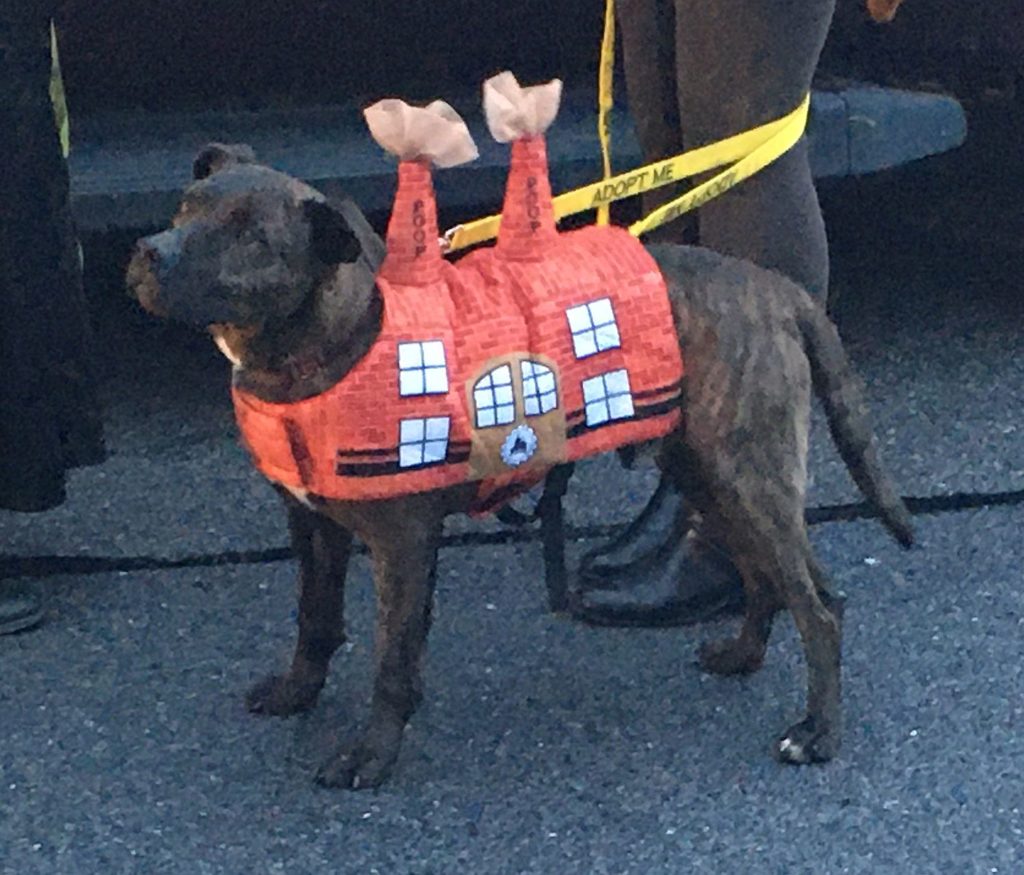 (Photos) 85th Annual Hollidaysburg Halloween Parade Forming Lightner