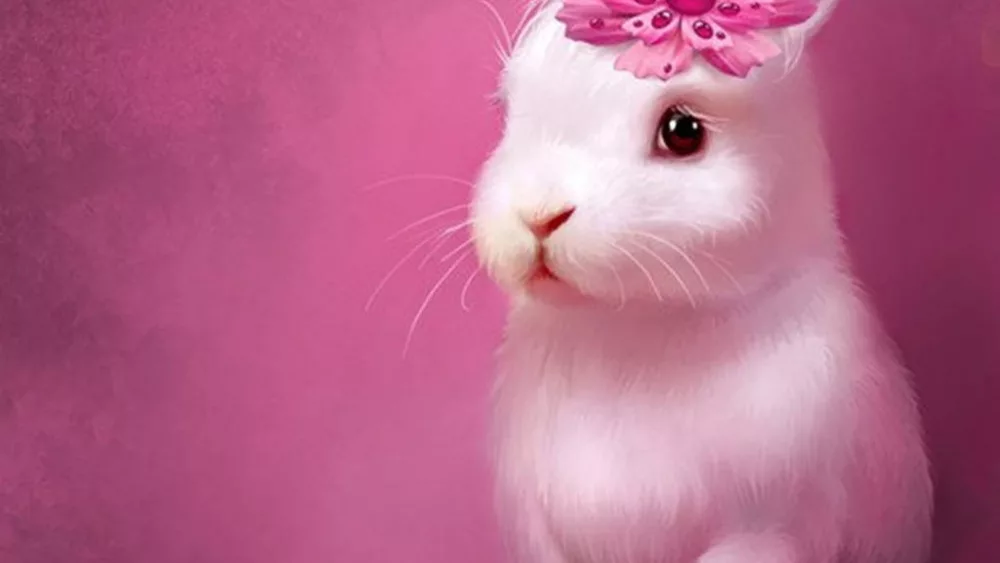 cute-bunny-with-flower-on-head-e31vodvu3a5wj14g