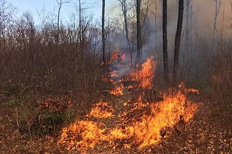 pennsylvania-wildland-fire