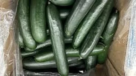 cukes