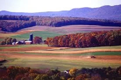 farmland