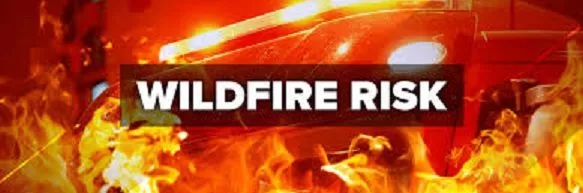 wildfire