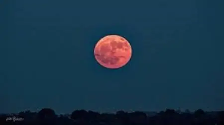 strawberry-moon