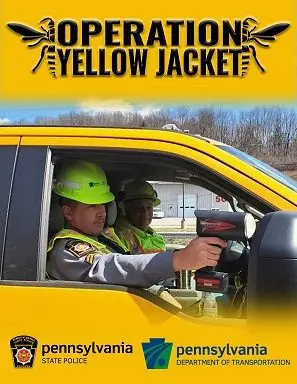 yellow-jacket