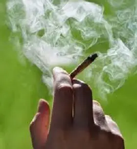 smoke-weed