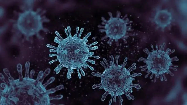 coronavirus-19-ncov-flu