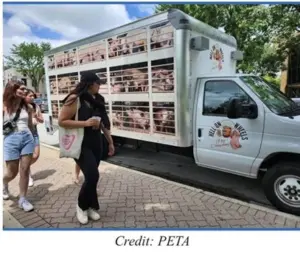 peta