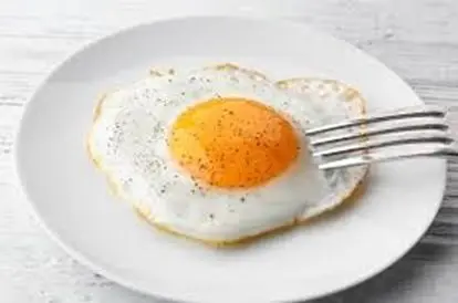 egg