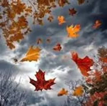 autumn