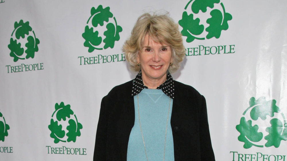 shutterstock_11057302477674