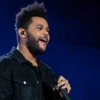 shutterstock_1192062997