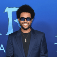 shutterstock_2246237069346480