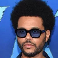 shutterstock_2286573459315614