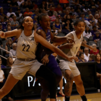 shutterstock_1110309437724557