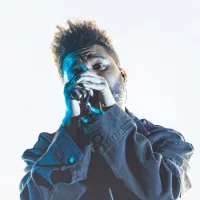 shutterstock_1192062613936923