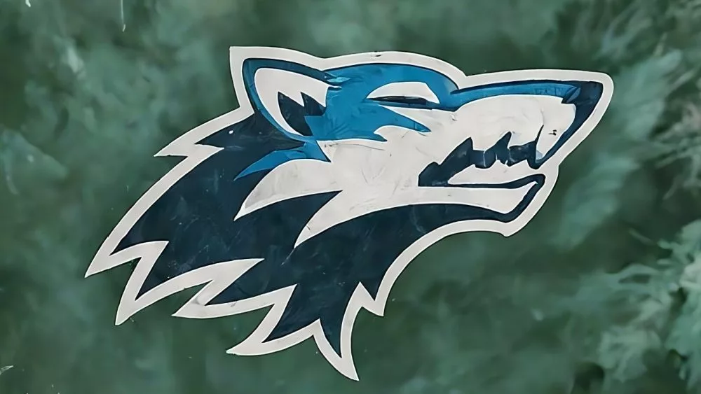 minnesota timberwolves nba finals champions 2024 - TEAM LOGO