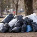 cleanup-adobe-stock-1-jpg-13