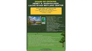 barkhausen-center-2-jpeg