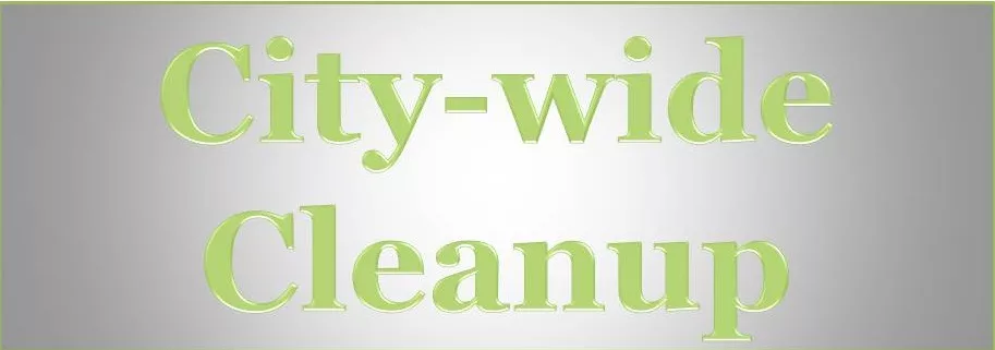 city-wide-cleanup-jpg