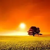 non-specific-obit-jpg-2