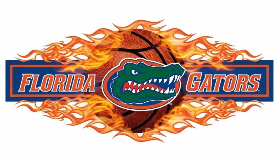 Florida Gators basketball logo with basketball and flames and put them in a border in a row