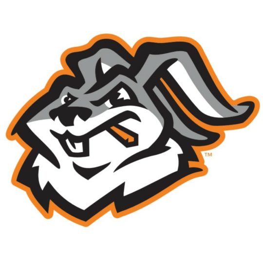 Marion's Rent One Park Reveals New Baseball Team's Name Q106.3