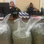 marion-cannabis-041723-1-2