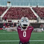 siu-enrollment-4
