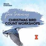 christmas-bird-8-1