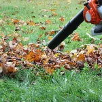 leaves-being-blown