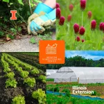 introduction-to-modern-homesteading-series