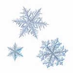 snowflakes-2