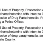 Arrest List for 205 Rail Road Avenue (Photo credit: Carmi Police Department)