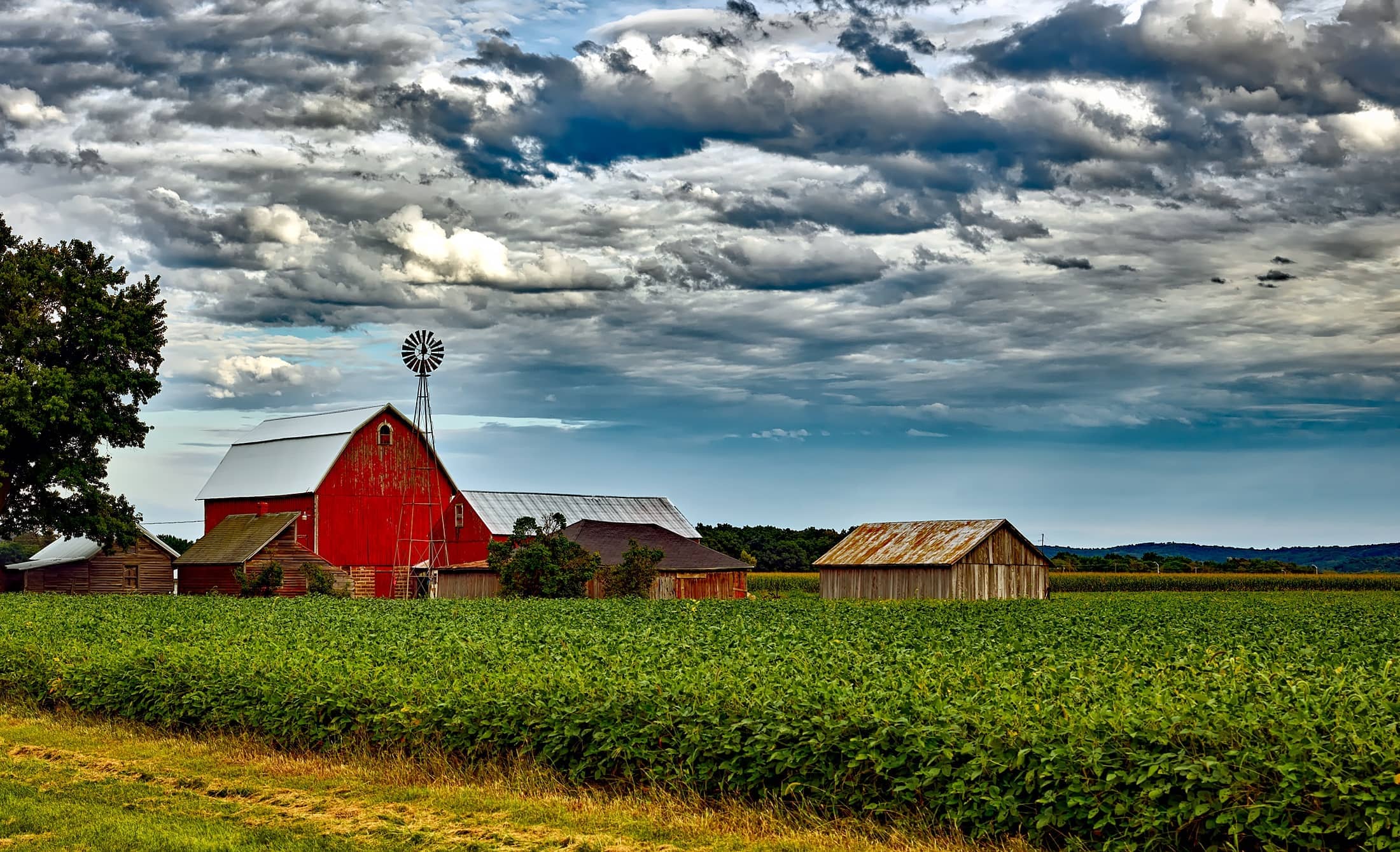 farm-jpeg