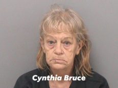 cynthia-bruce