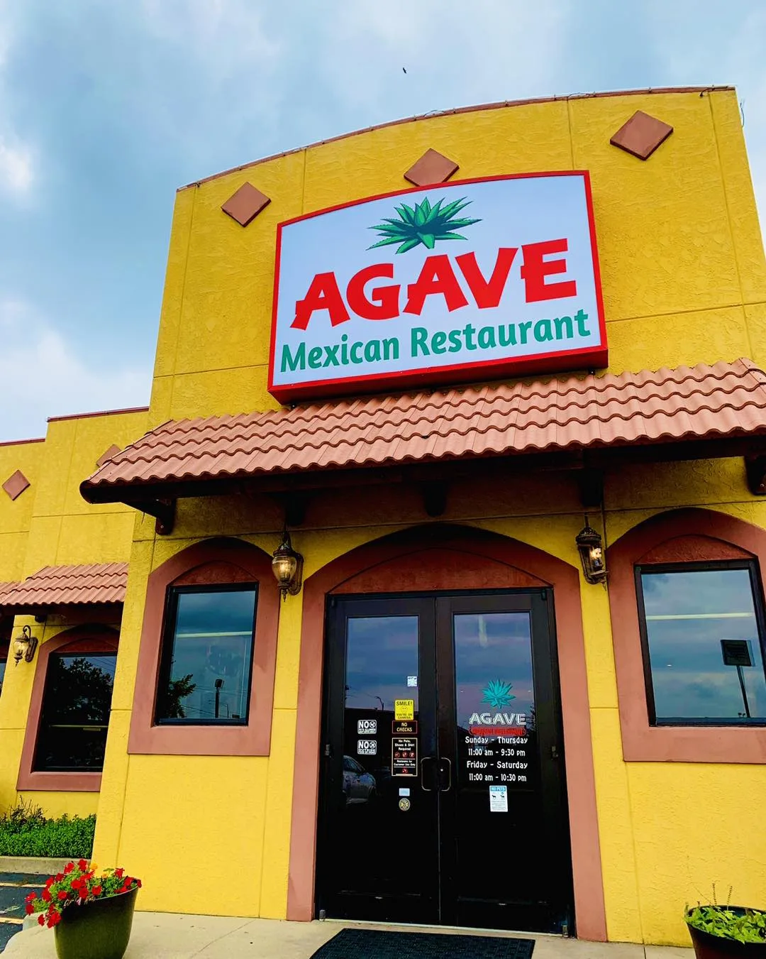 agave