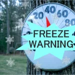 freeze-warmomg