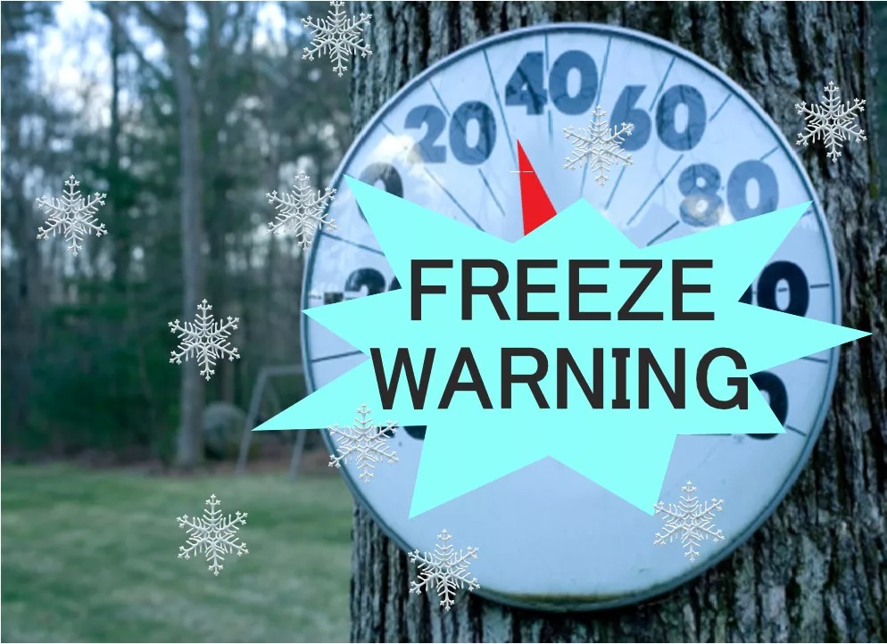 freeze-warmomg